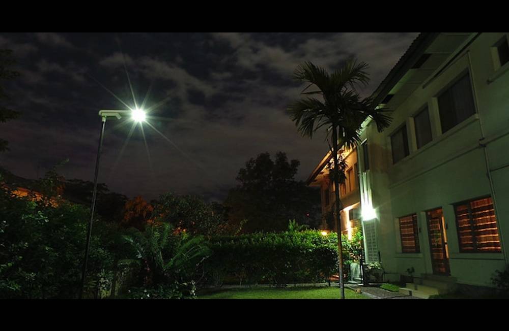 2695358lpaw-2695468-jpg_3303454